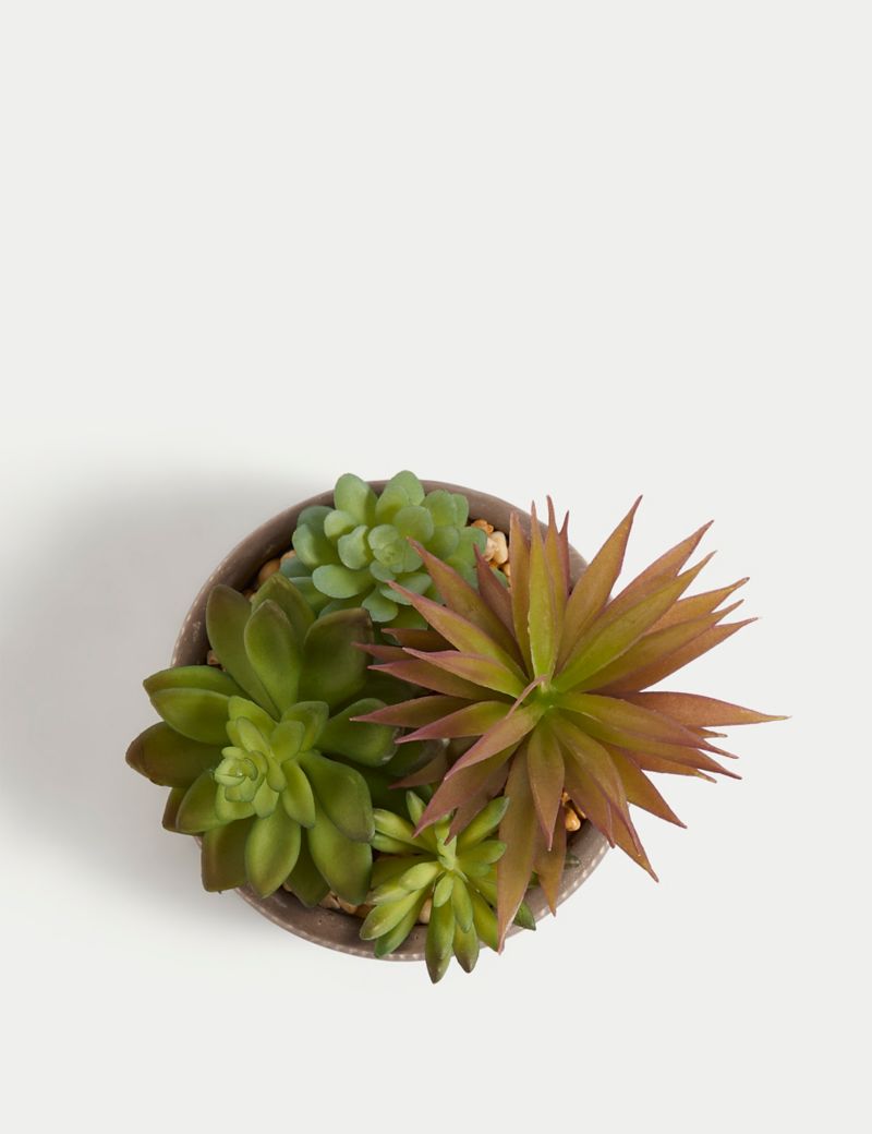 Artificial Succulents in Concrete Pot