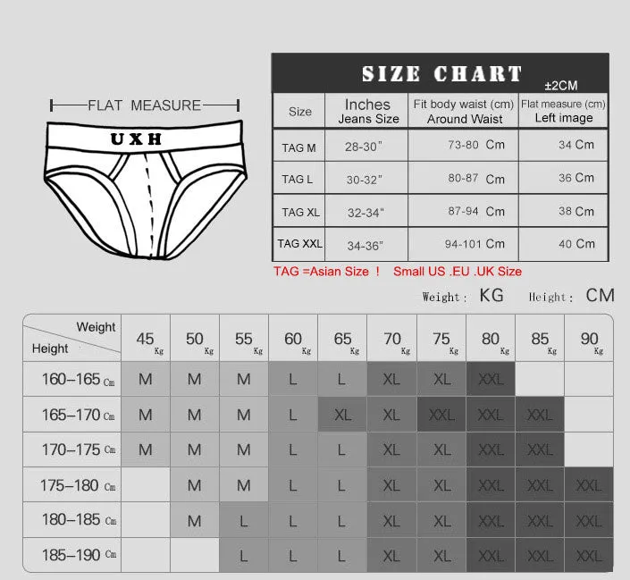 Men's Sexy Rose Striped Pattern Water Sports Swimwear Briefs