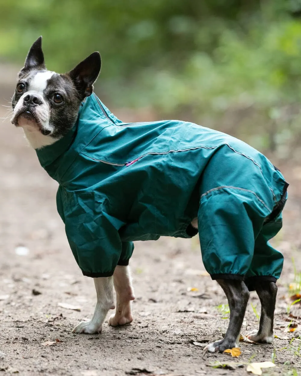 Protective Dog Overalls - Teal